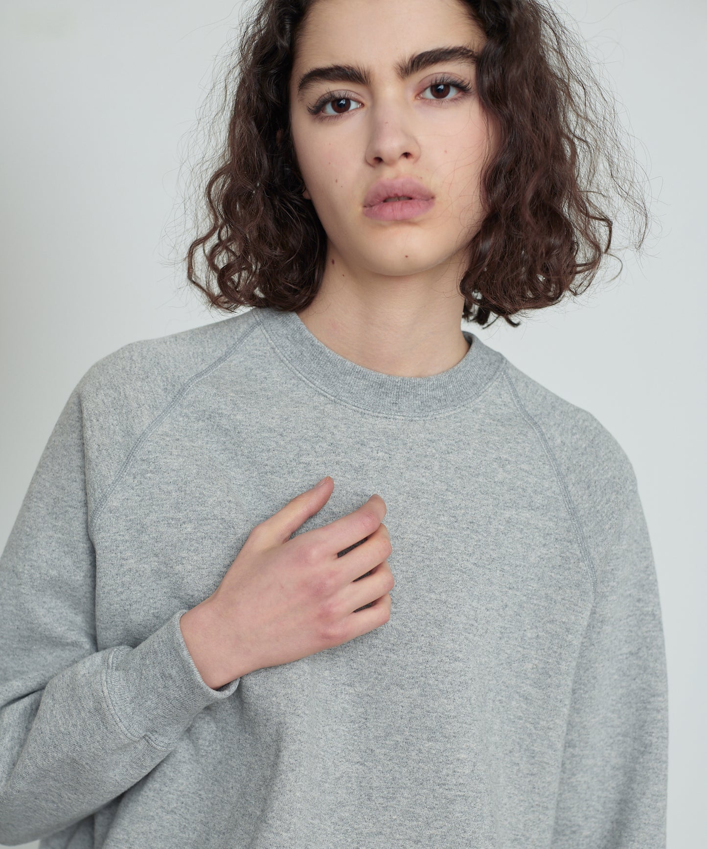 【 25FW 】ANATOMICA SWEAT RAGLAN CREW NECK / GREY