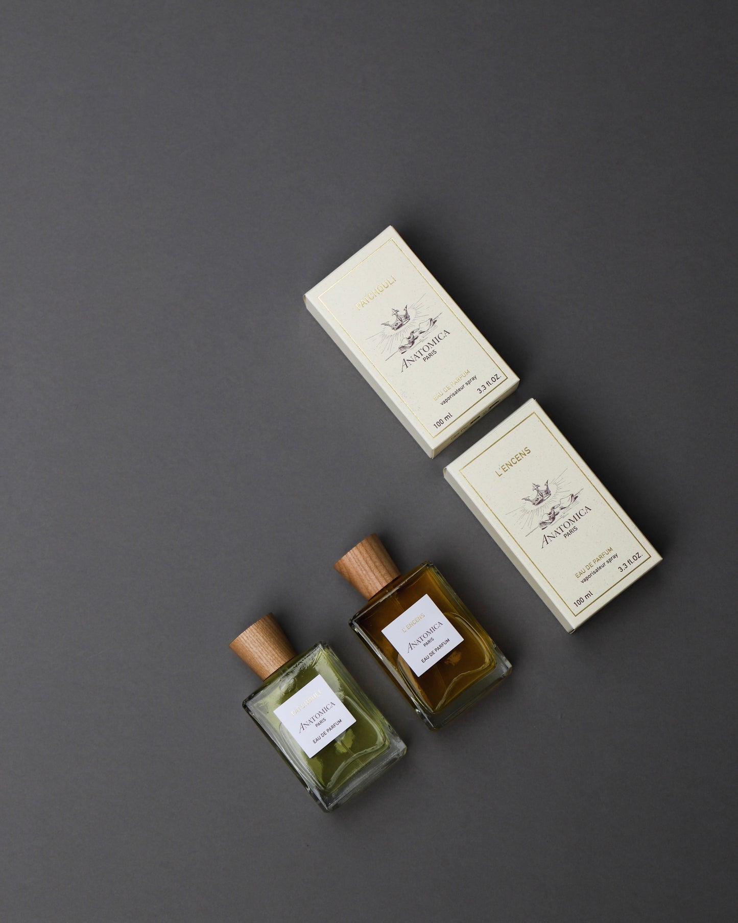 【 24FW 】ANATOMICA EAU DE PARFUM / L'ENCENS