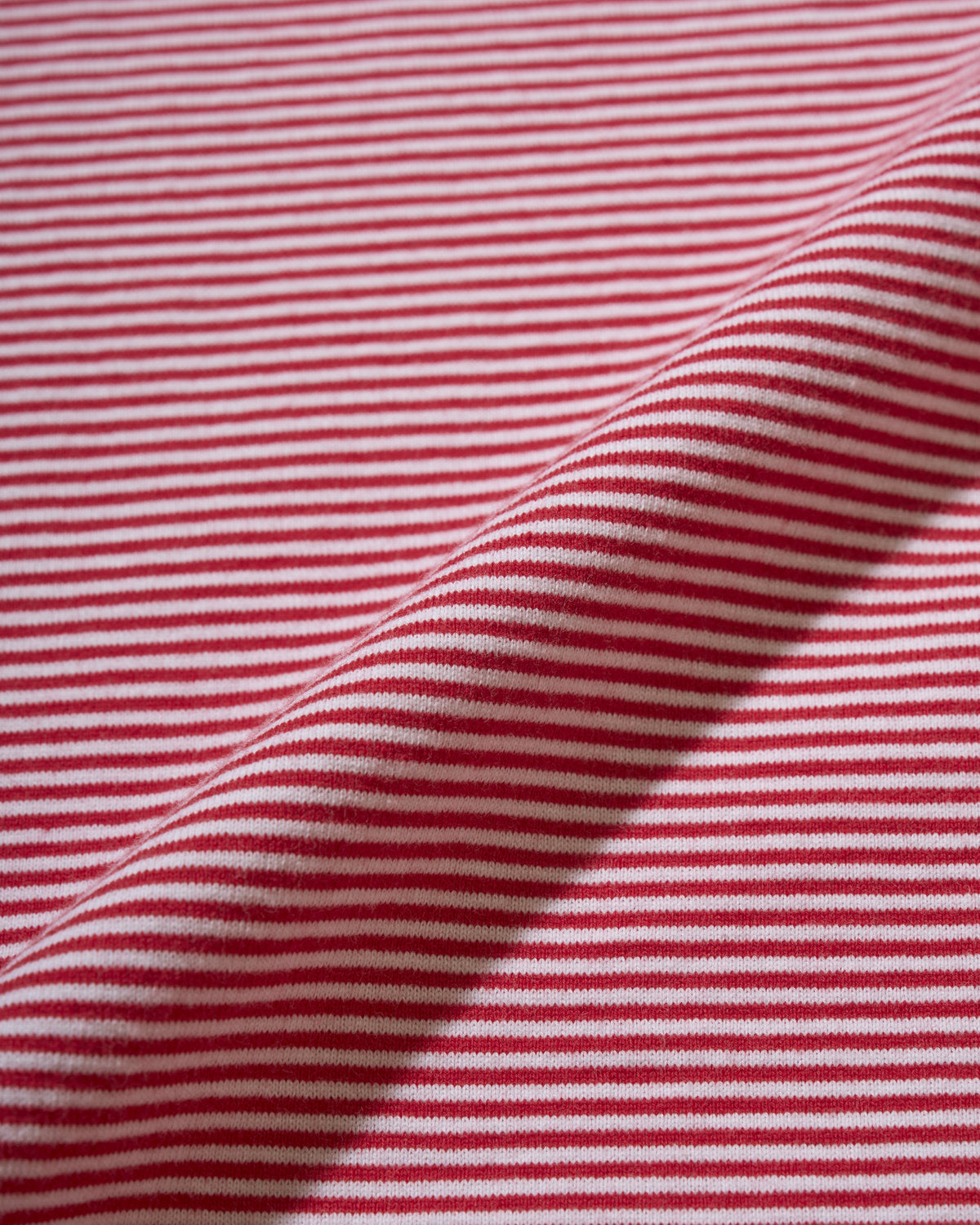 【 26SS 】ANATOMICA LADIES BRIGITTE TEE BORDER / RED
