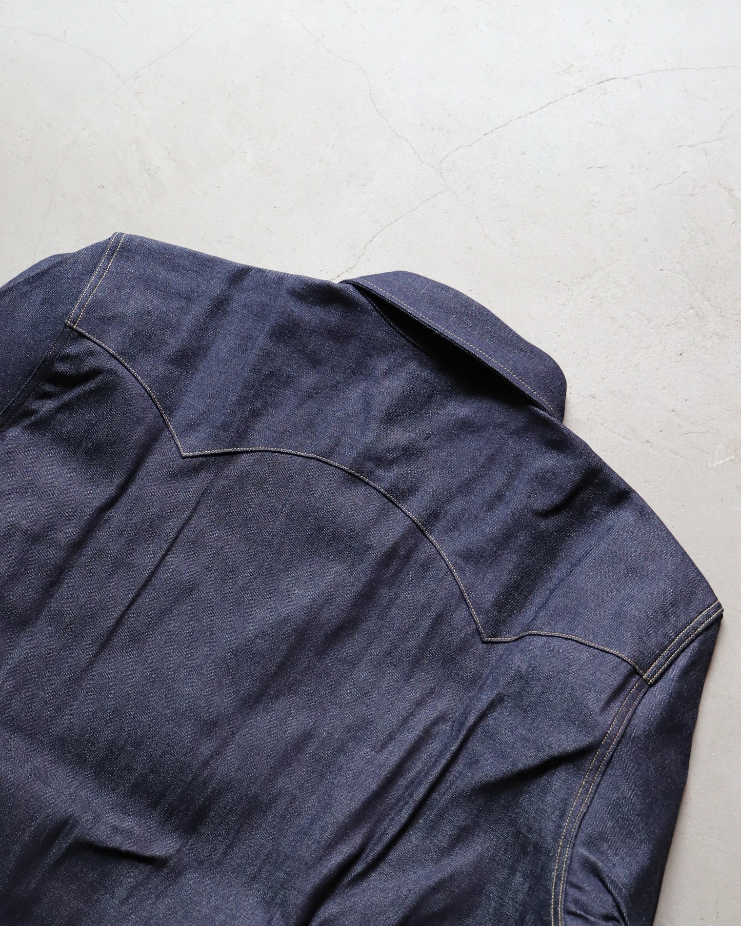 【 24FW 】ANATOMICA  WESTERN SHIRT